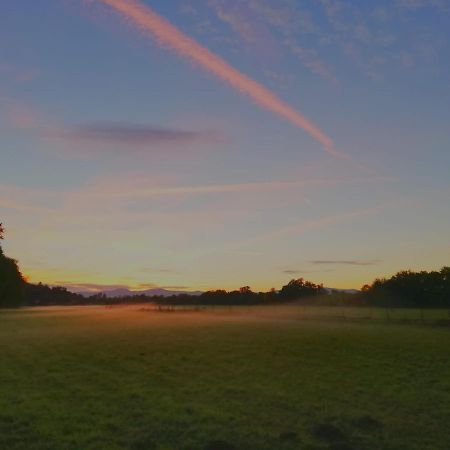 Ferienwohnung Gestuet Von Erden Haßloch Buitenkant foto